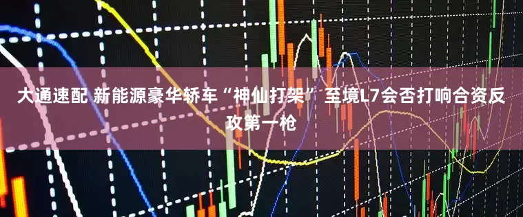 大通速配 新能源豪华轿车“神仙打架” 至境L7会否打响合资反攻第一枪