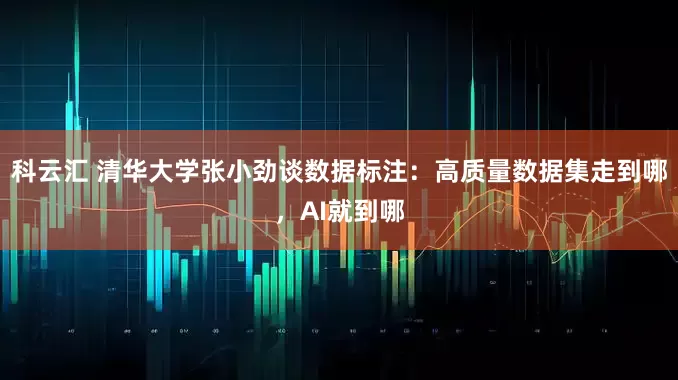 科云汇 清华大学张小劲谈数据标注：高质量数据集走到哪，AI就到哪