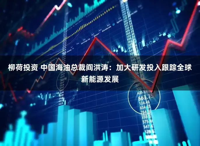 柳荷投资 中国海油总裁阎洪涛：加大研发投入跟踪全球新能源发展