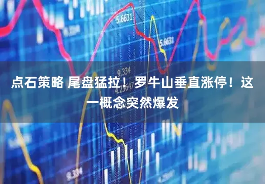 点石策略 尾盘猛拉！罗牛山垂直涨停！这一概念突然爆发