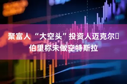 聚富人 “大空头”投资人迈克尔・伯里称未做空特斯拉